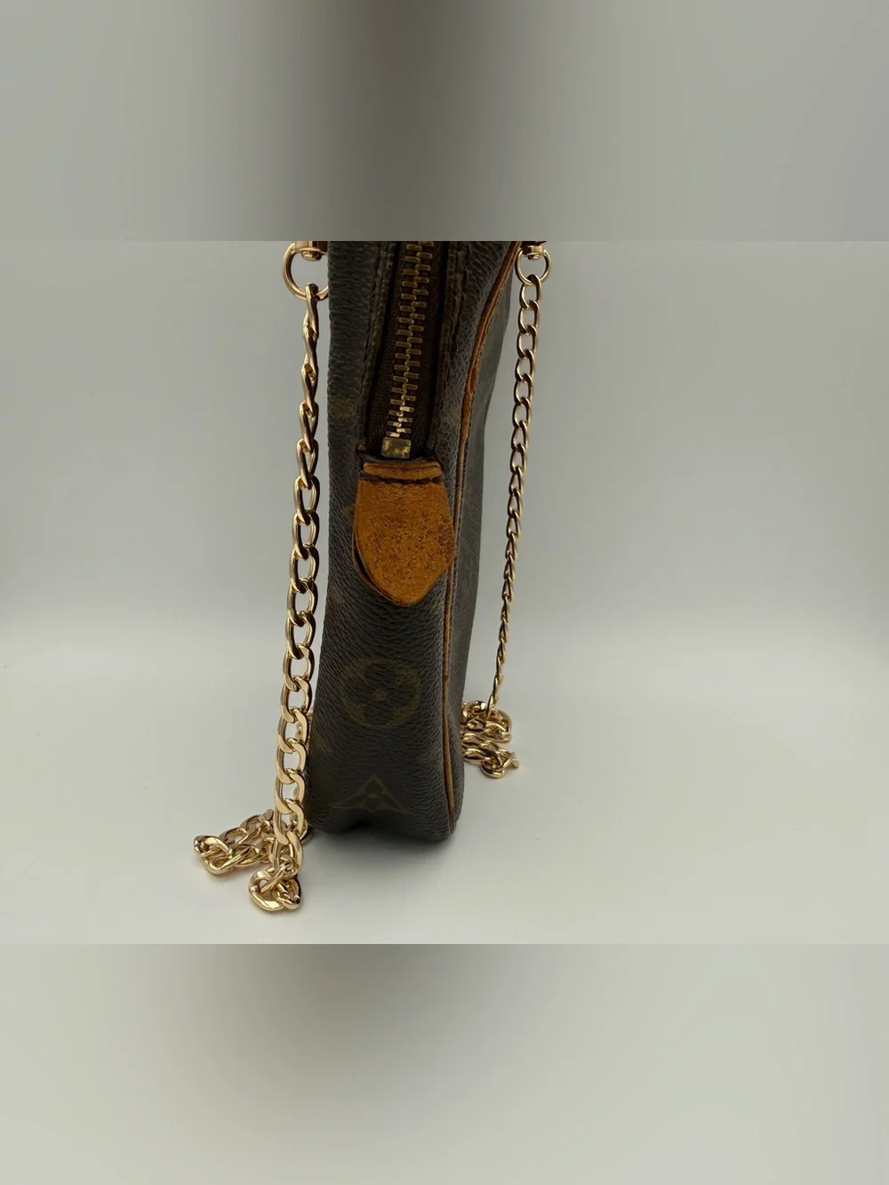 Louis Vuitton Amazon Monogram Crossbody Bag | Authentic | Vintage